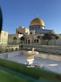 سارة  سدر 