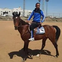 بي واي دي ‏سونج ل ‏2024