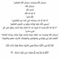 Public Driver -Amman