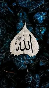 ماهر خالد يوسف ابو السمك