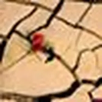 سامسونج ‏جالاكسي S24 الترا ‏256 جيجابايت ‏فضي
