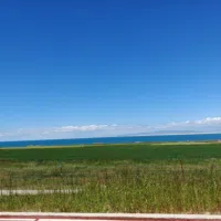 فيفو ‏أخرى ‏256 جيجابايت ‏أبيض