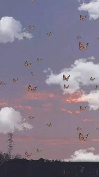 غيمه ام شريان