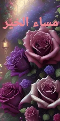 أمير الرقه والإحساس