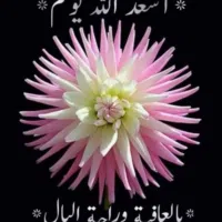 تيسلا ‏موديل 3 ‏Standard ‏2023