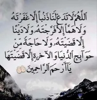 عامر عامر