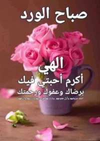 شريف على