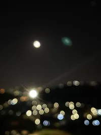 قيس