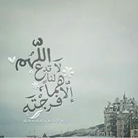 محمد محمد الحسن