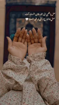 areej alabbadi