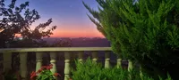 ينال عمارين