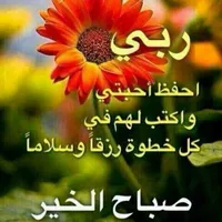 انس ابو زيد