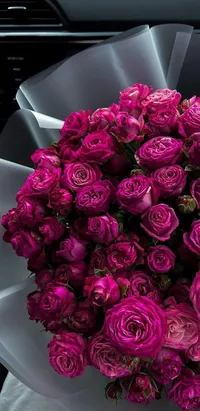 علاء عباس
