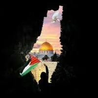 عادل يوسف  مرار