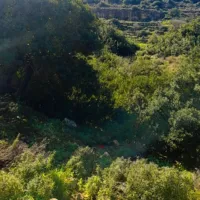 Sales Agent -Ramallah and Al-Bireh