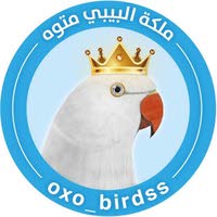 ملكة البيبي متوه oxo