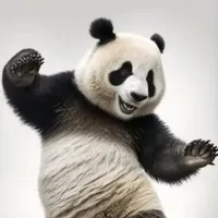 بي ام دبليو ‏الفئة 4 ‏440 ‏2022