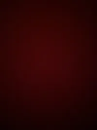 Arabic Teacher -Jenin