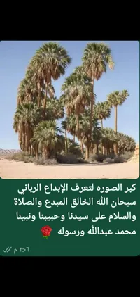 محسن  يحي