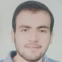 yousef mansour