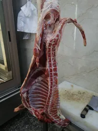 أبو جمال