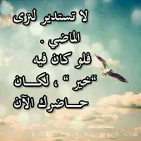 feras alnatsheh
