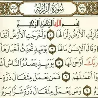 ابو عمر عمري عمري
