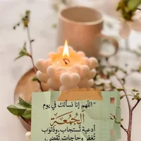 fadi zain