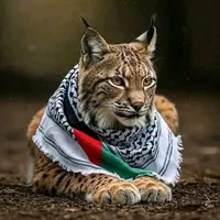 غزه العزه