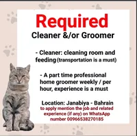 wanted room cleaner / groomer
