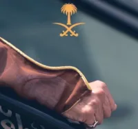 Samsung ‏Galaxy Tab S8 Ultra ‏128 GB ‏14 inch