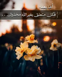 أبل ‏ايباد برو ‏32 جيجابايت ‏9.7 انش