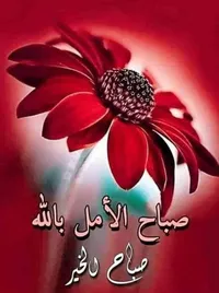 ALaa gtefat
