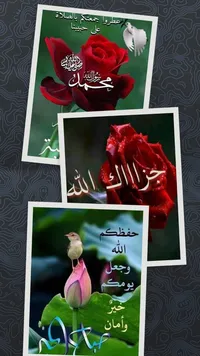Ayed Ghawanem