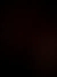 شذى نادر السعدي