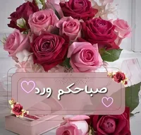 nedal frhan
