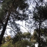 نوكيا ‏اخرى ‏256 جيجابايت ‏أخضر