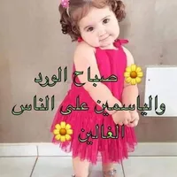 فاضل  احمد