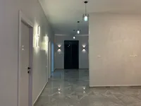 صقر شتيه