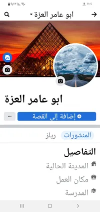 عامر العزة