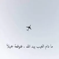 alaa
