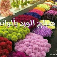 أبو أسيل alhinai