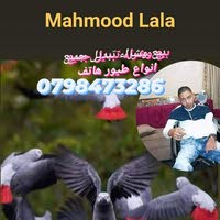 Mahmud. Lala