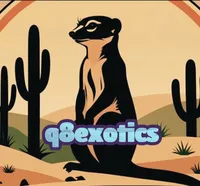 أبل ايفون 14 بلس 256 جيجابايت أسود