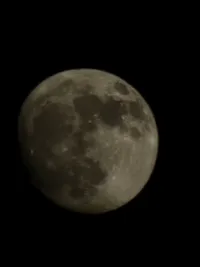 معاويه محمد حسن الزبن