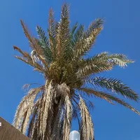 سامسونج ‏جالاكسي S25 الترا ‏256 جيجابايت ‏أزرق