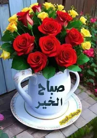 حسام رشيد