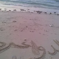 أبراهيم . الدواغره