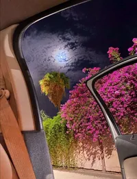 عرينن الورد