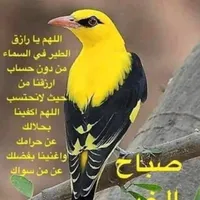 مسلم العونه